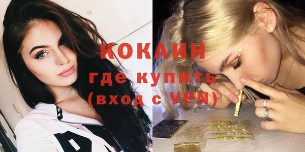 твердый Алзамай