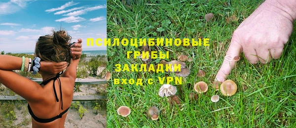 амфетамин Алексеевка