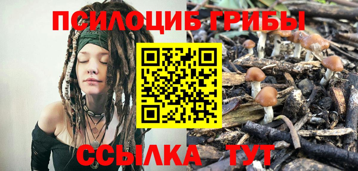 Галлюциногенные грибы мухоморы  Галлюциногенные грибы Psilocybe  Камышин  Вход с VPN 