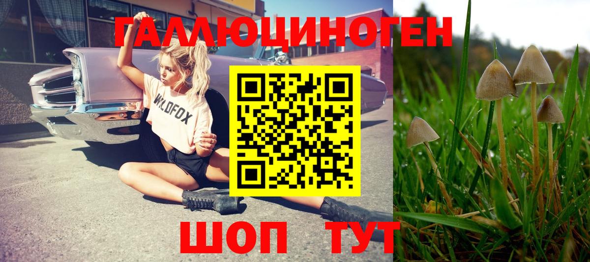 Псилоцибиновые грибы MAGIC MUSHROOMS Камышин